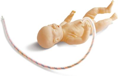 新生兒臍帶管理模型